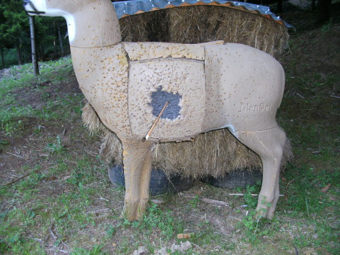 attached file