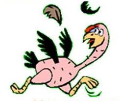 attached file
