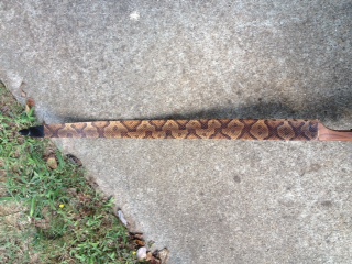 attached file