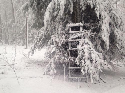Ladder stand still standing