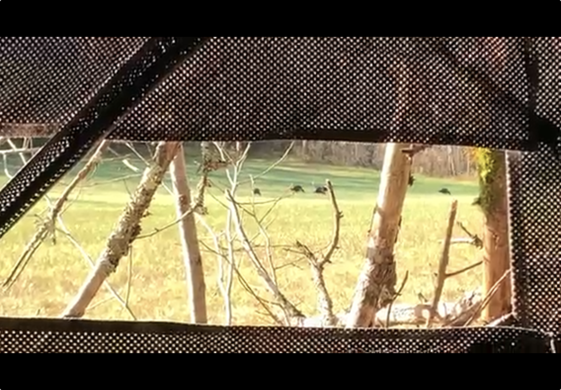 Blinded by the sight