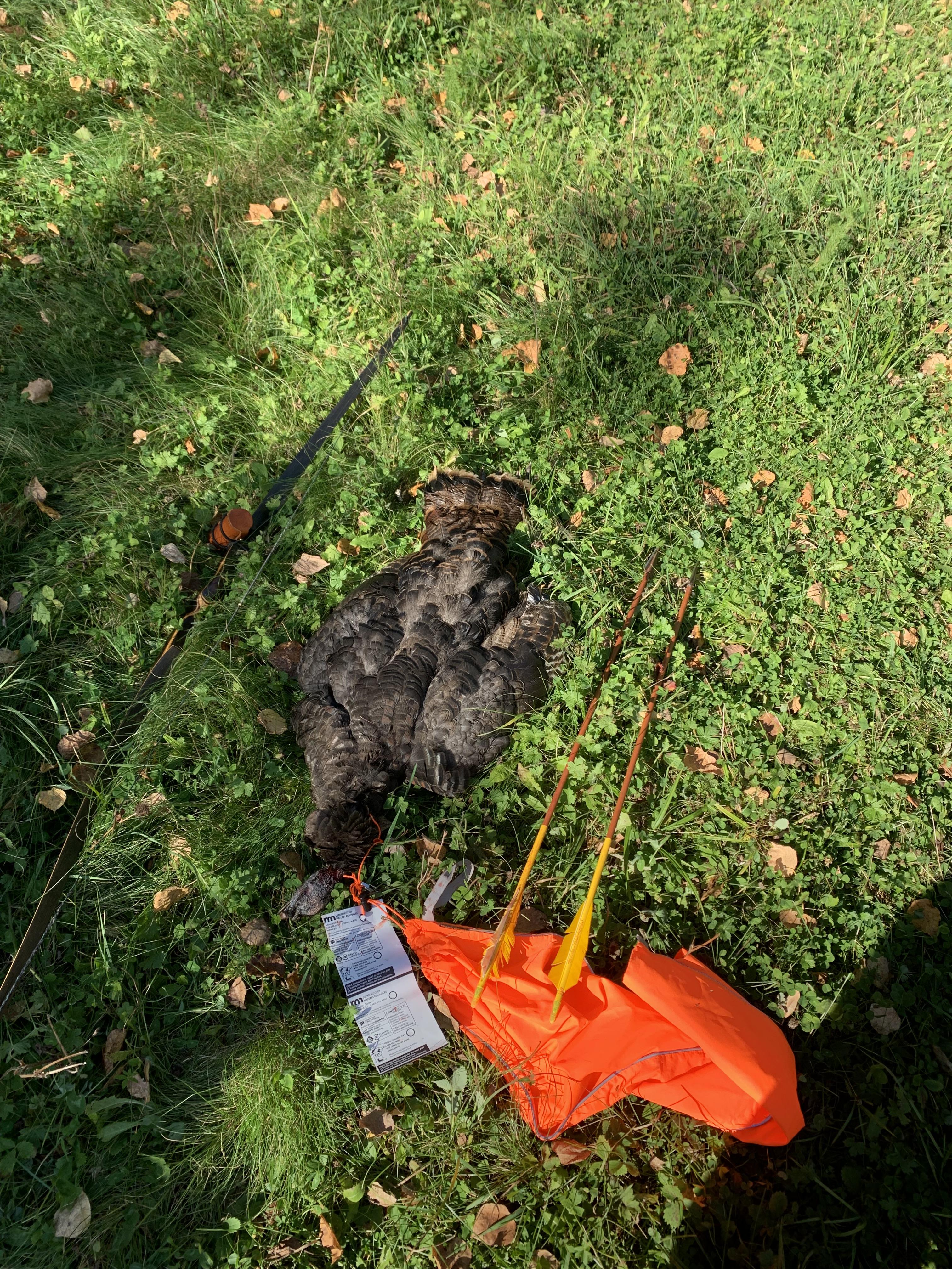 Stuck with a stick bow